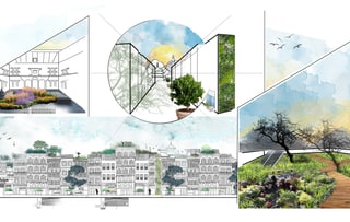 Enliven Kathmandu — project artwork 2