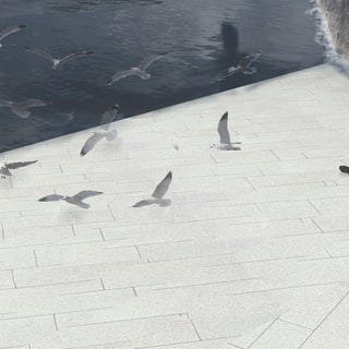Portfolio artwork: Fjord Allemeningen